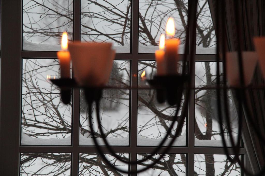 Villa Sofia Boutique Trakai Eksteriør billede